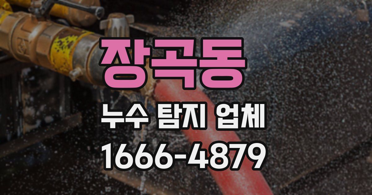장곡동 누수 탐지 업체