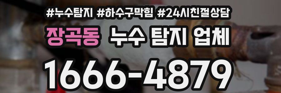 장곡동 누수 탐지 업체