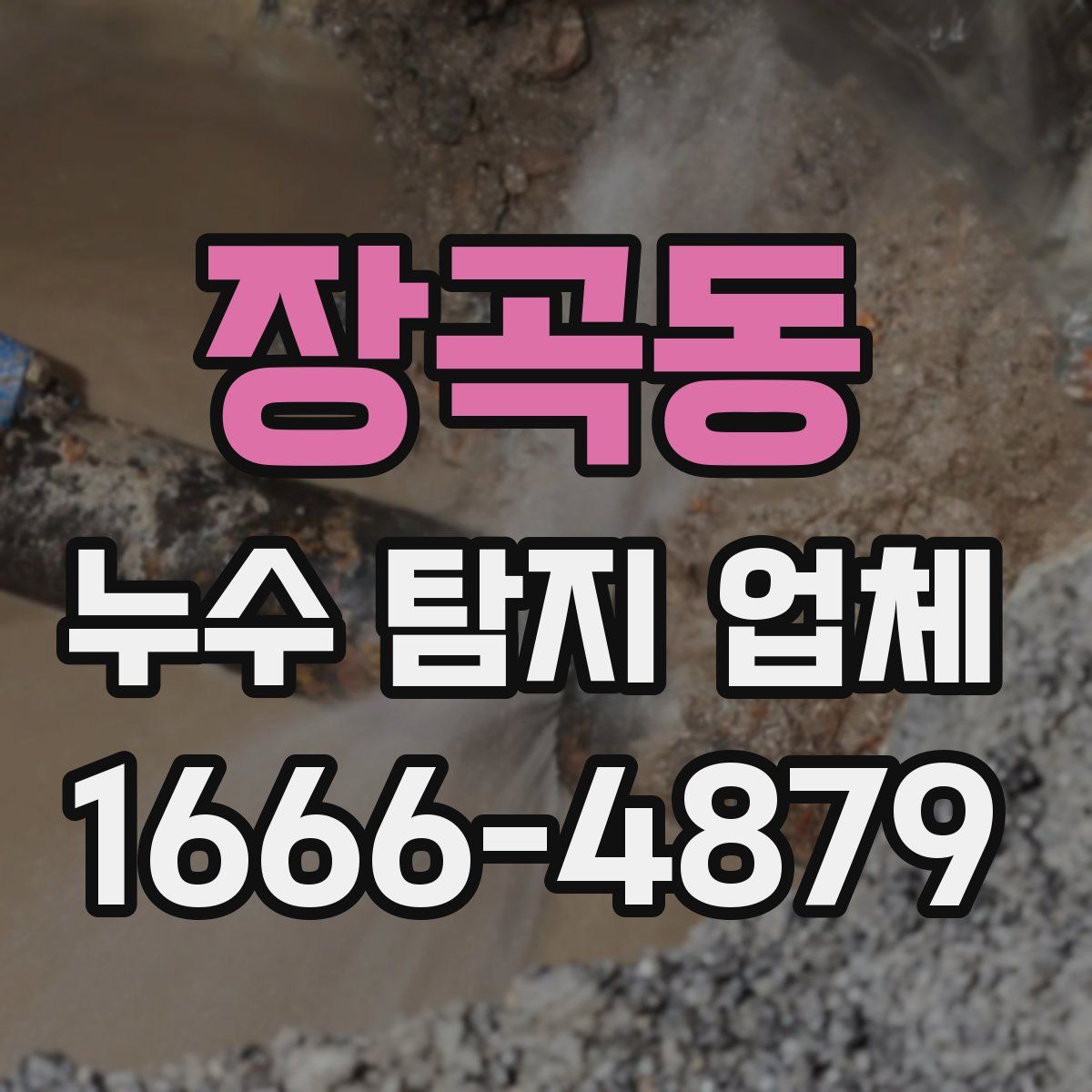 장곡동 누수 탐지 업체