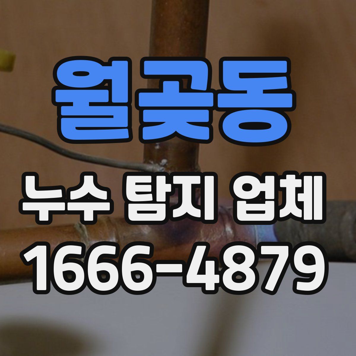 월곶동 누수 탐지 업체