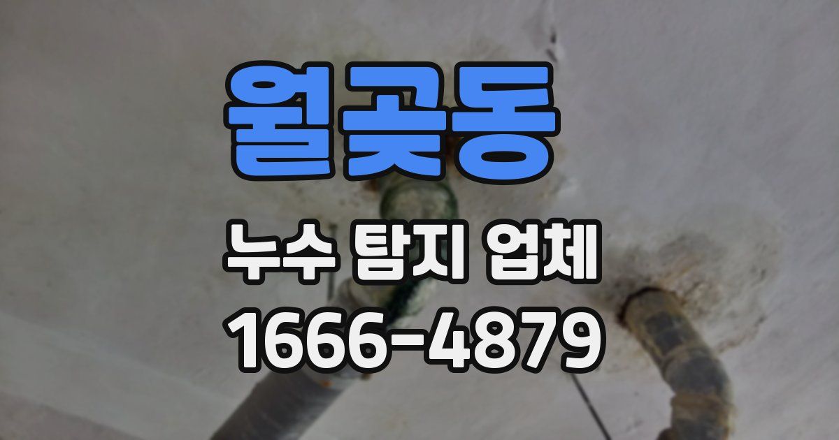 월곶동 누수 탐지 업체
