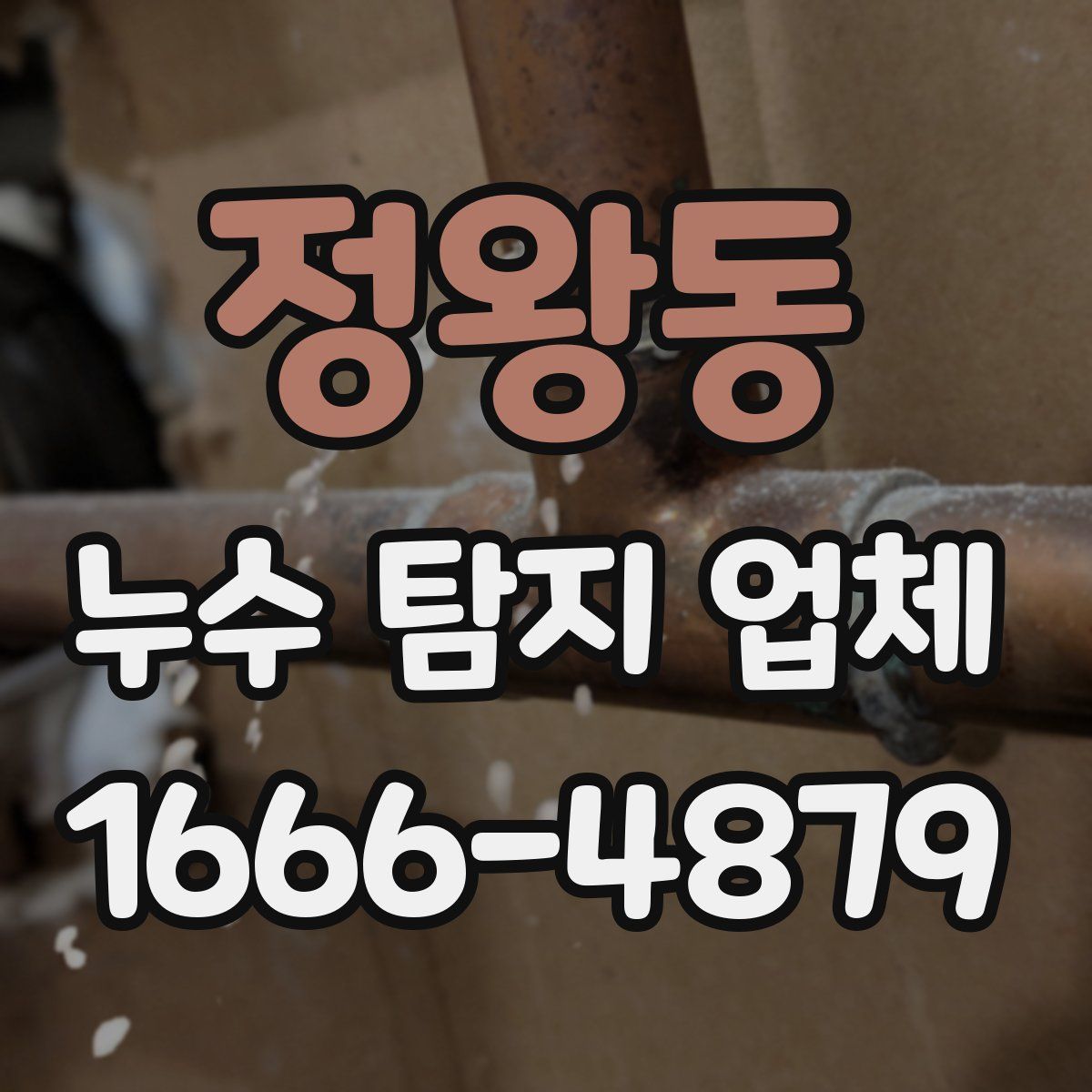 정왕동 누수 탐지 업체