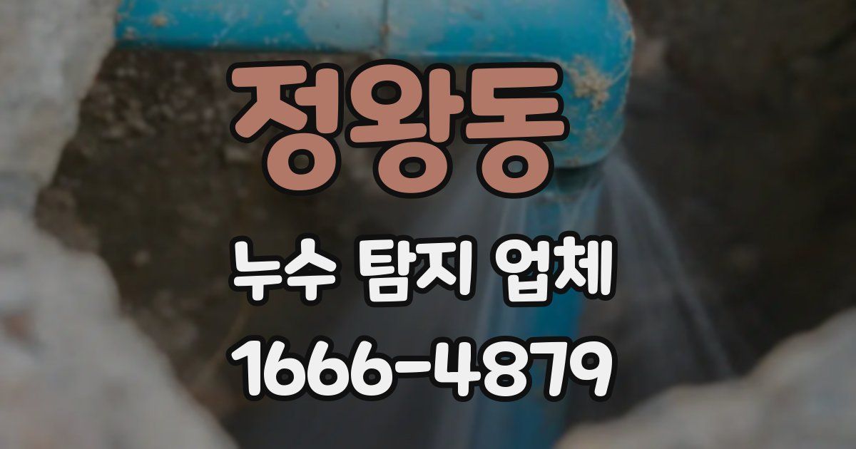 정왕동 누수 탐지 업체