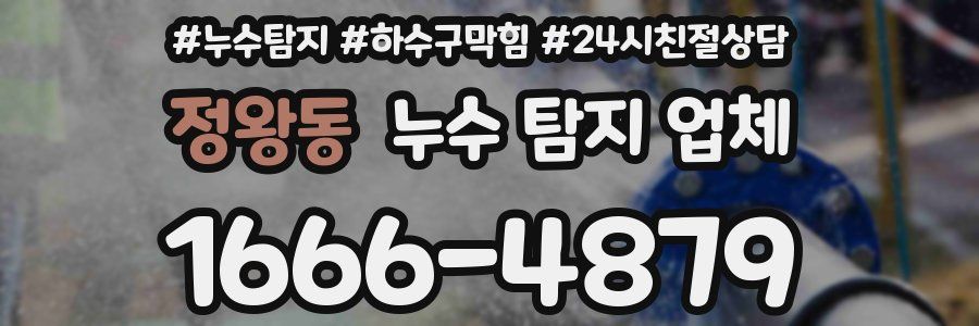 정왕동 누수 탐지 업체