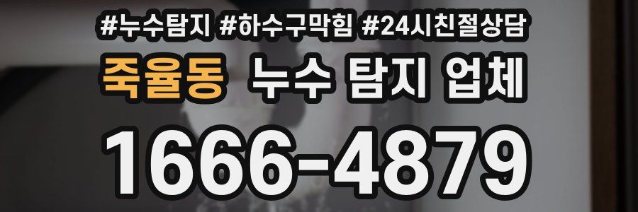 죽율동 누수 탐지 업체