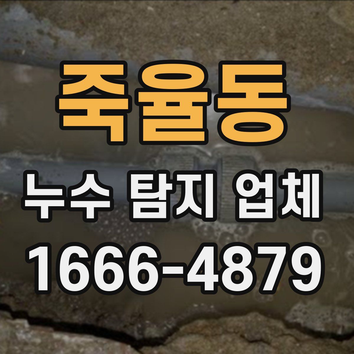 죽율동 누수 탐지 업체