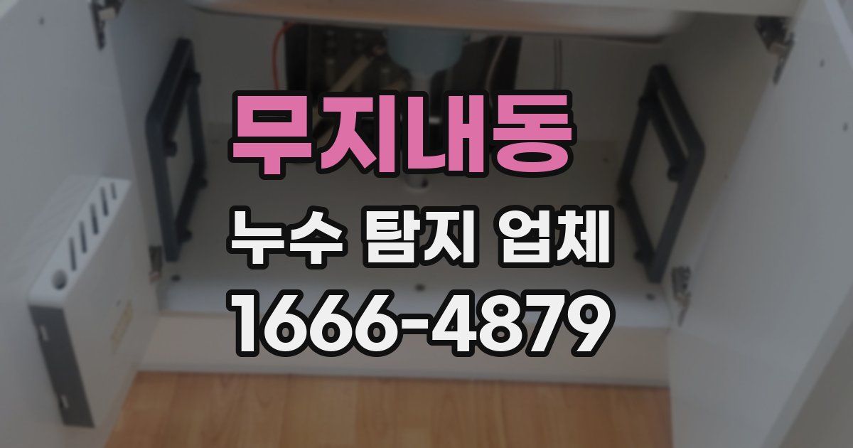 무지내동 누수 탐지 업체