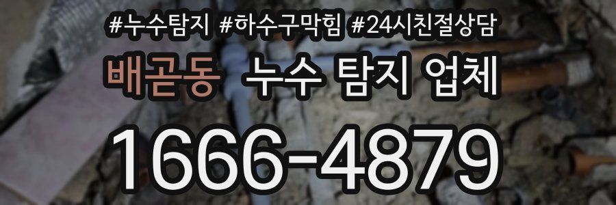 배곧동 누수 탐지 업체
