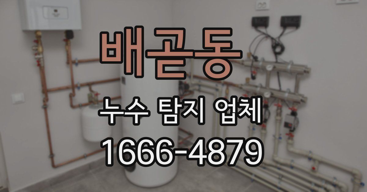 배곧동 누수 탐지 업체