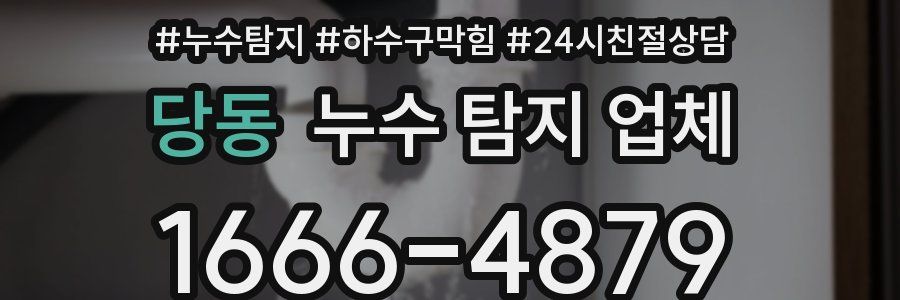 당동 누수 탐지 업체