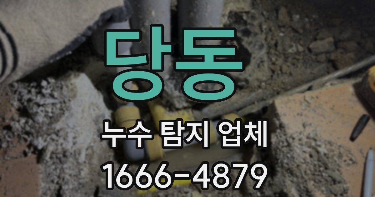 당동 누수 탐지 업체