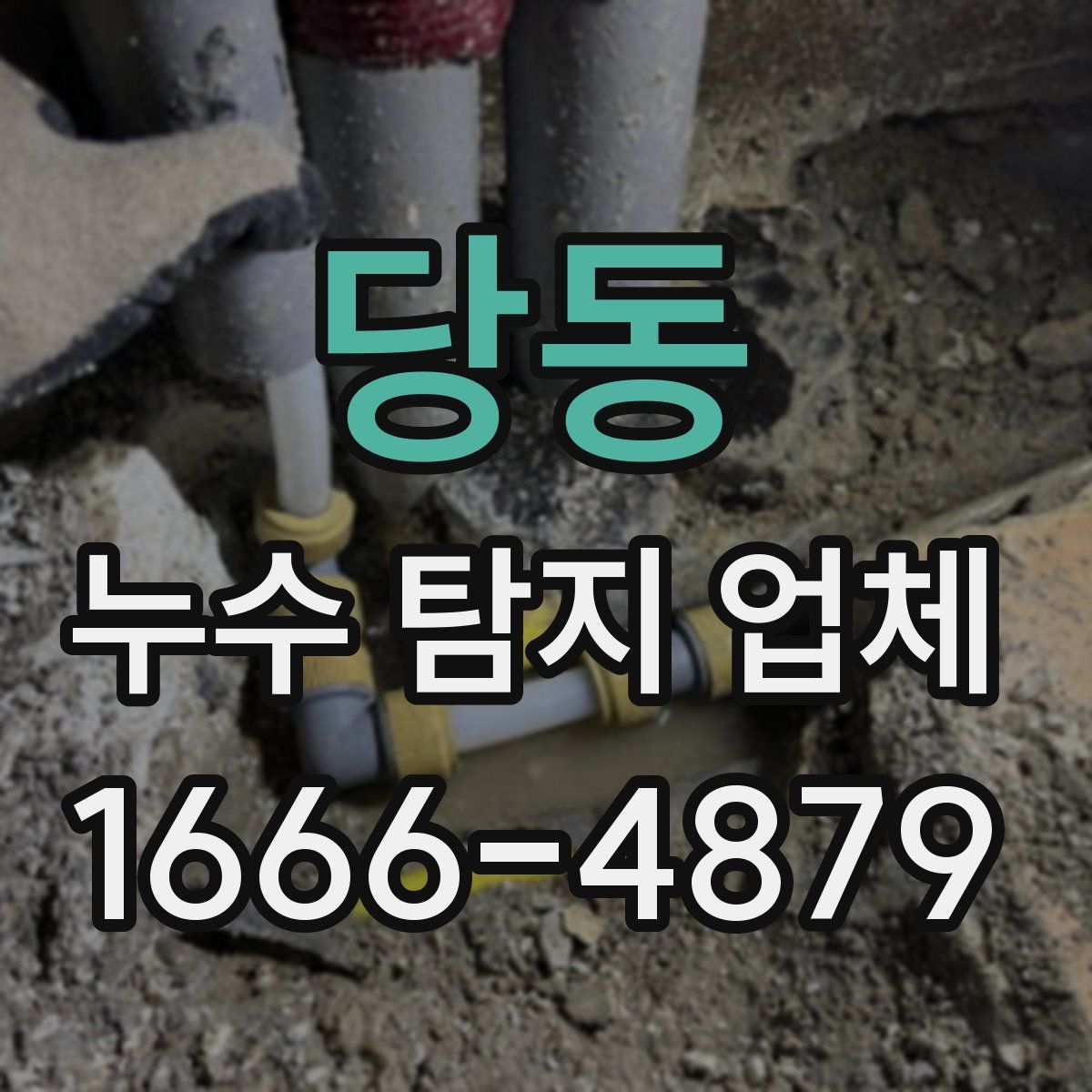 당동 누수 탐지 업체