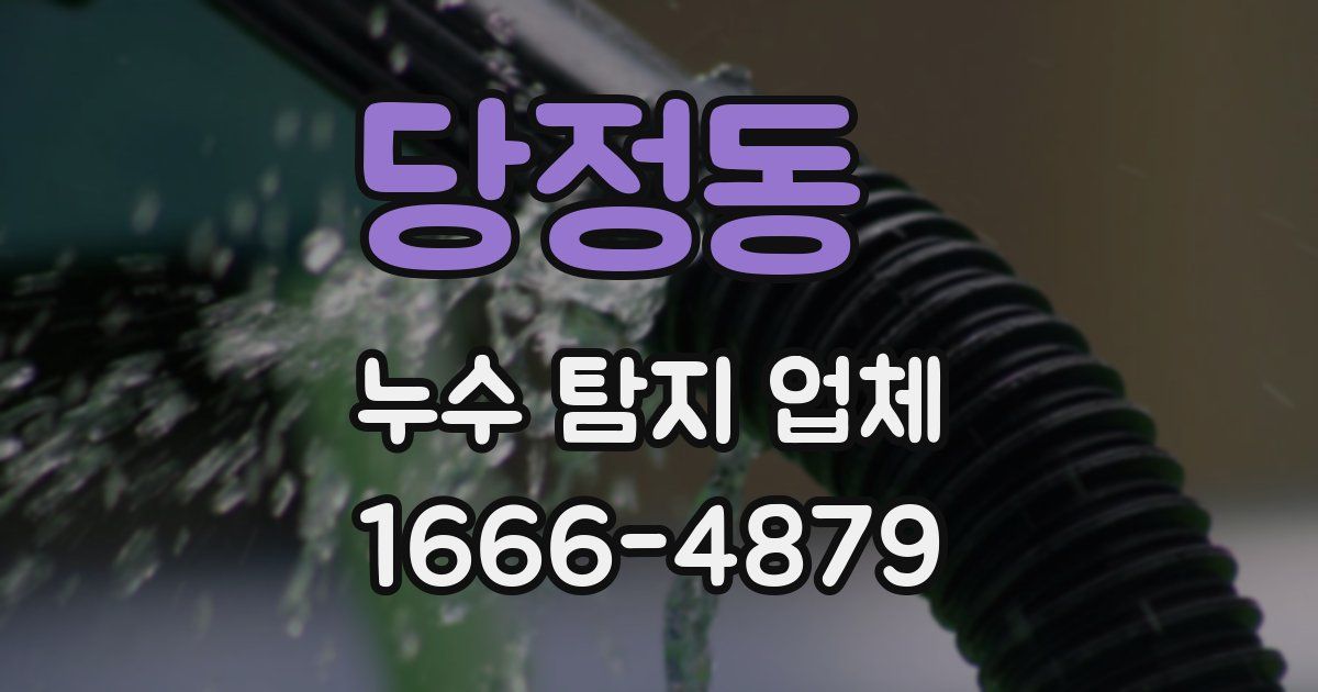 당정동 누수 탐지 업체