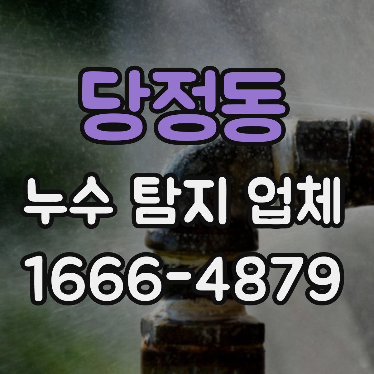 당정동 누수 탐지 업체