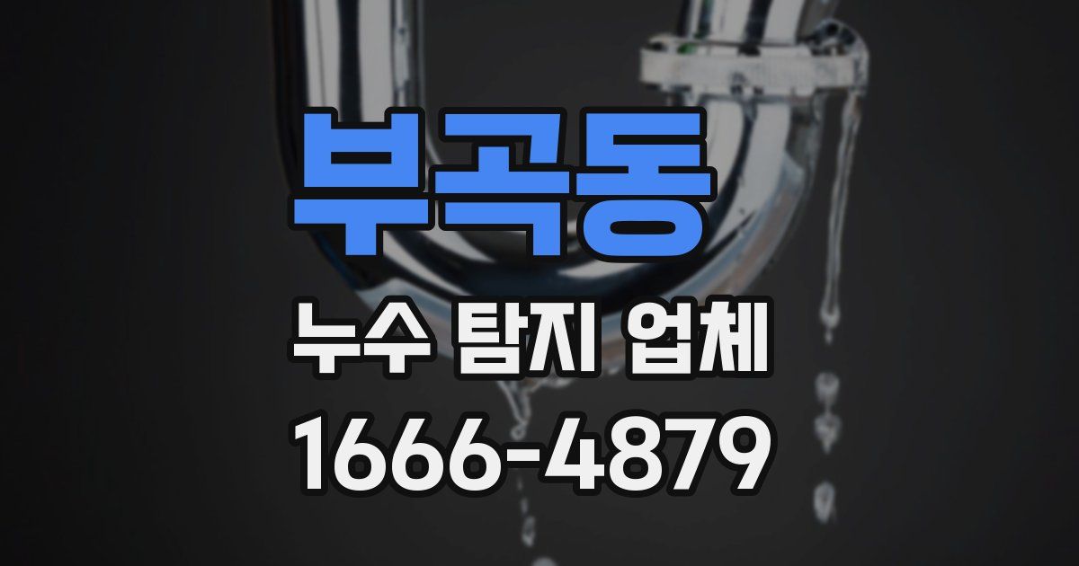 부곡동 누수 탐지 업체
