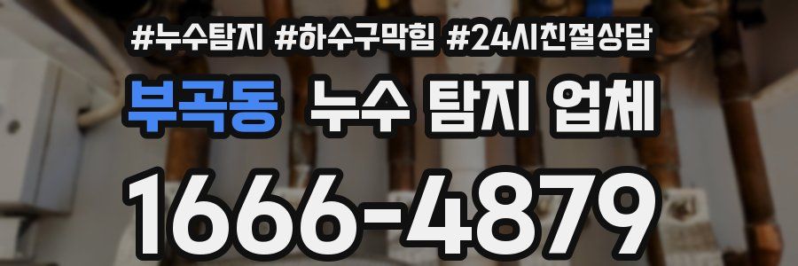 부곡동 누수 탐지 업체