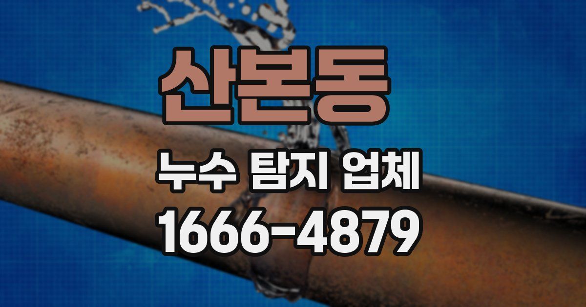 산본동 누수 탐지 업체
