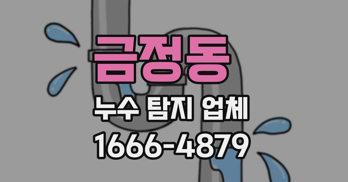 금정동 누수 탐지 업체