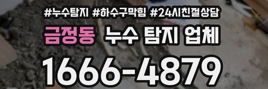 금정동 누수 탐지 업체