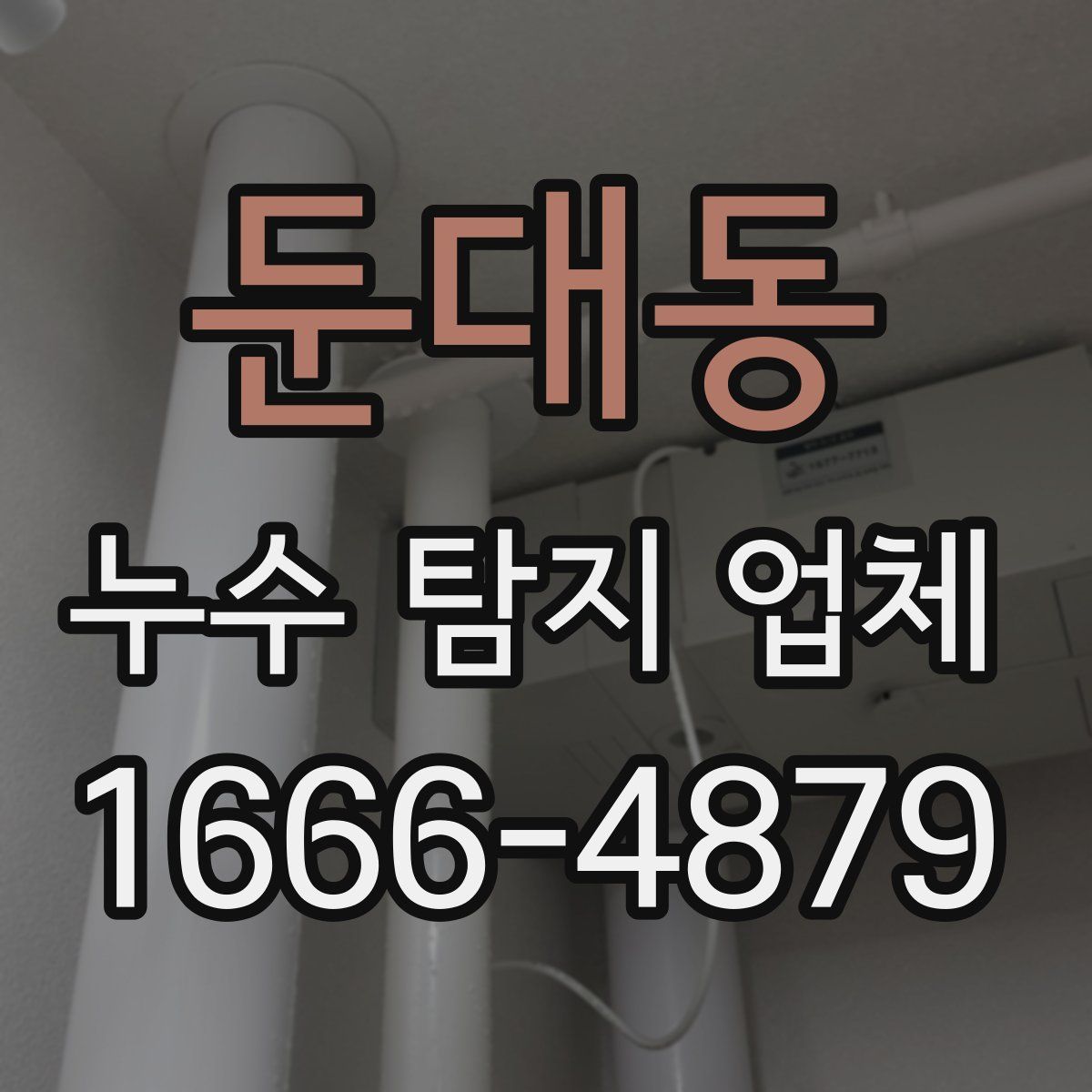 둔대동 누수 탐지 업체