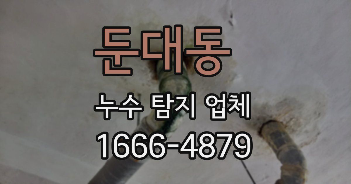 둔대동 누수 탐지 업체
