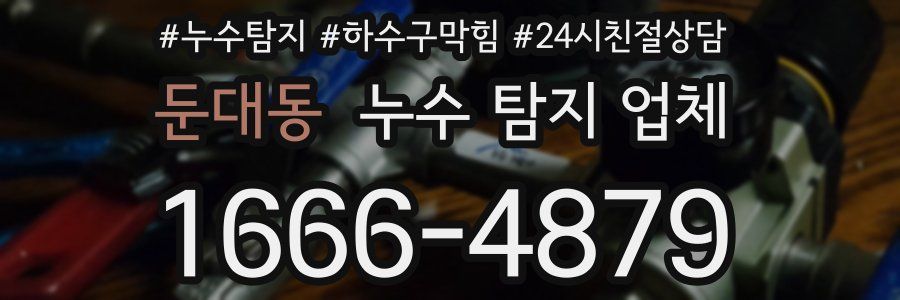 둔대동 누수 탐지 업체