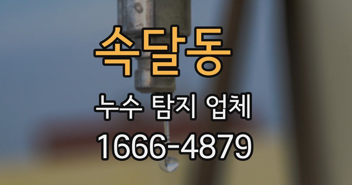 속달동 누수 탐지 업체