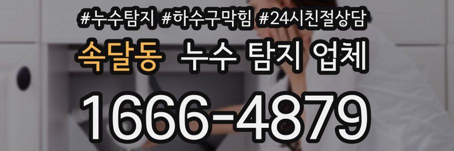 속달동 누수 탐지 업체