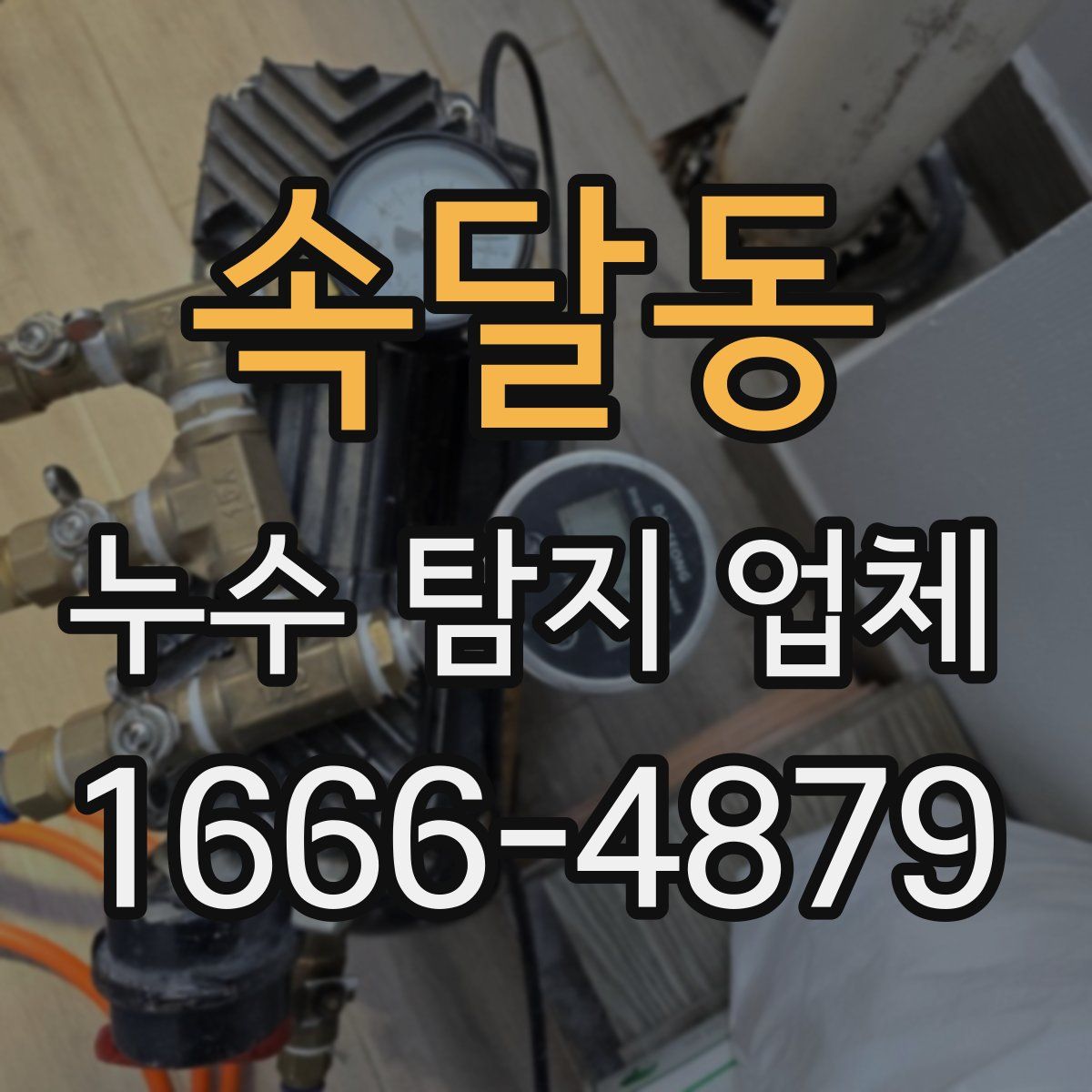 속달동 누수 탐지 업체