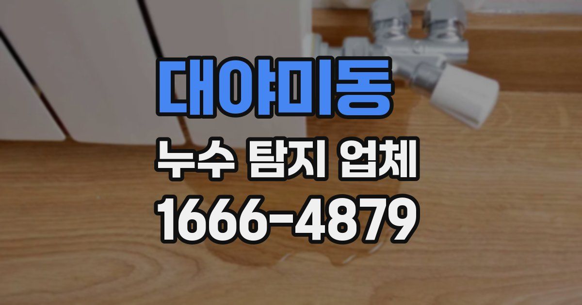 대야미동 누수 탐지 업체