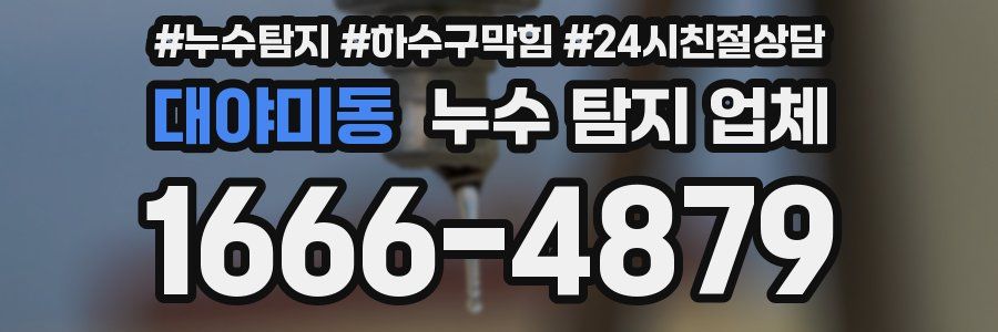 대야미동 누수 탐지 업체