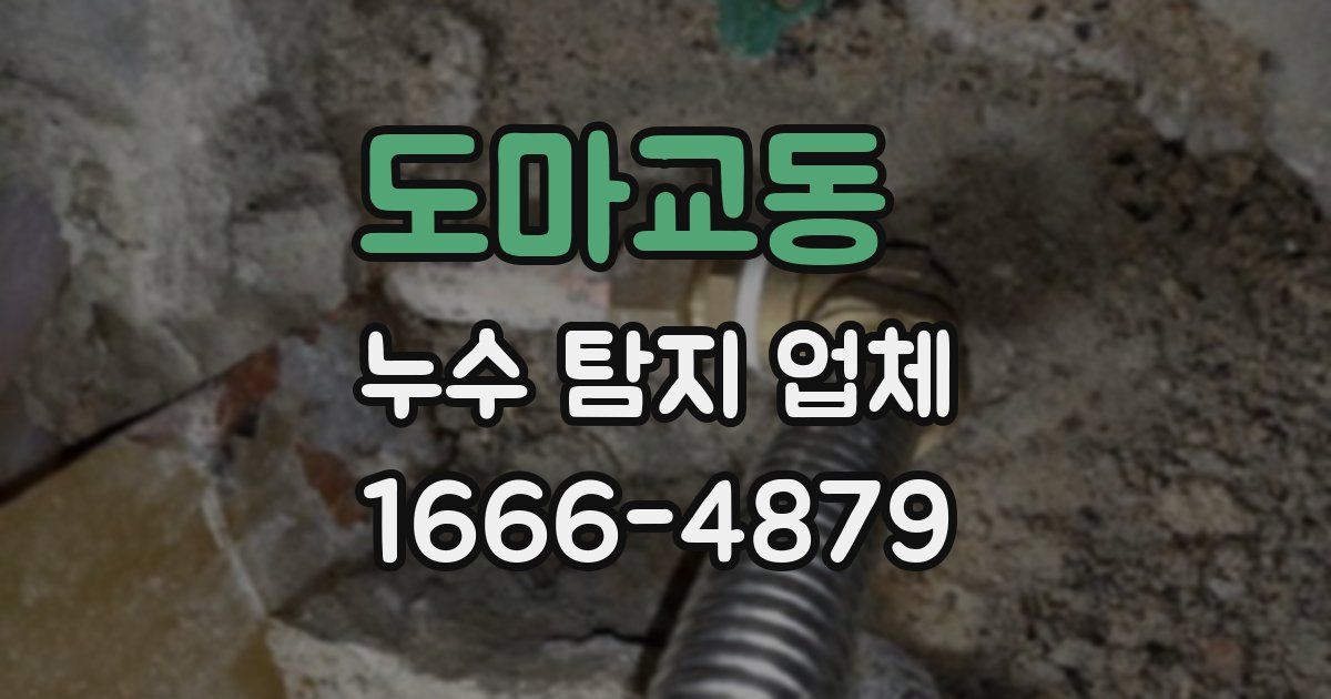 도마교동 누수 탐지 업체