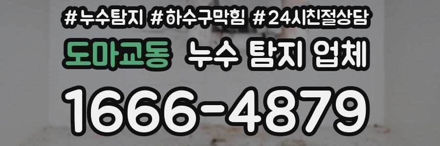 도마교동 누수 탐지 업체