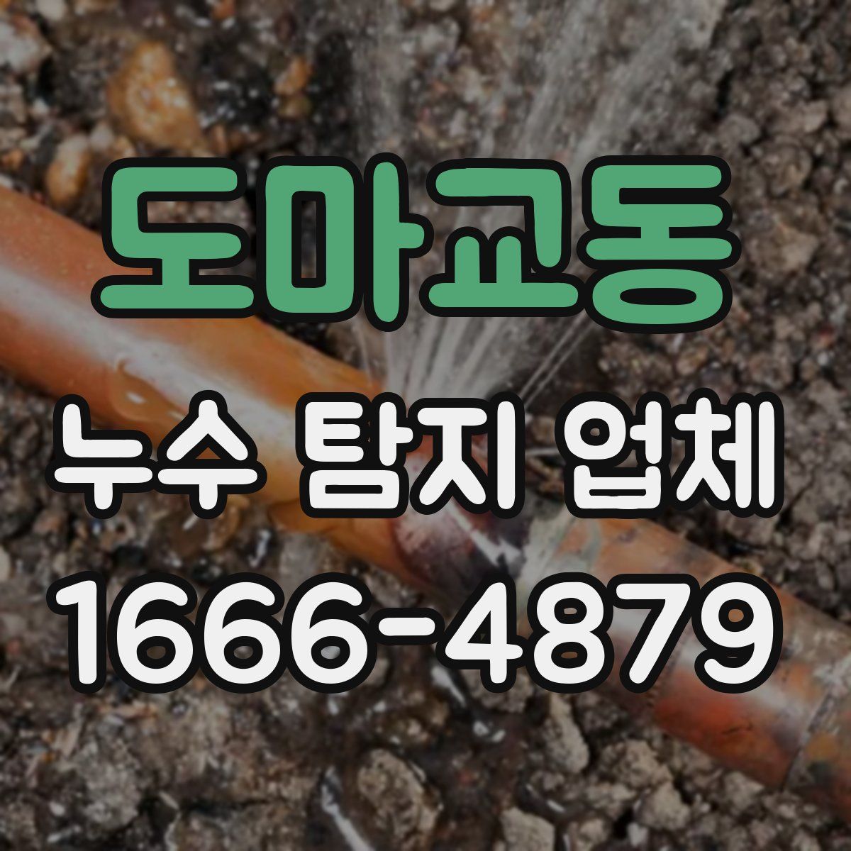 도마교동 누수 탐지 업체