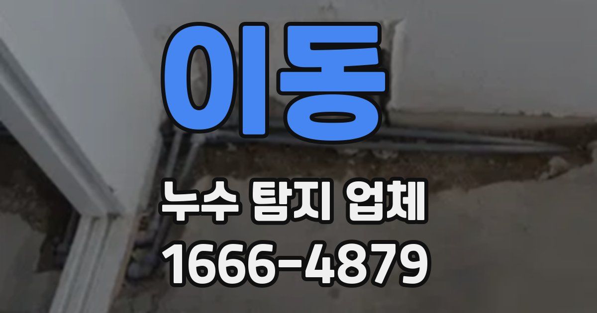 이동 누수 탐지 업체