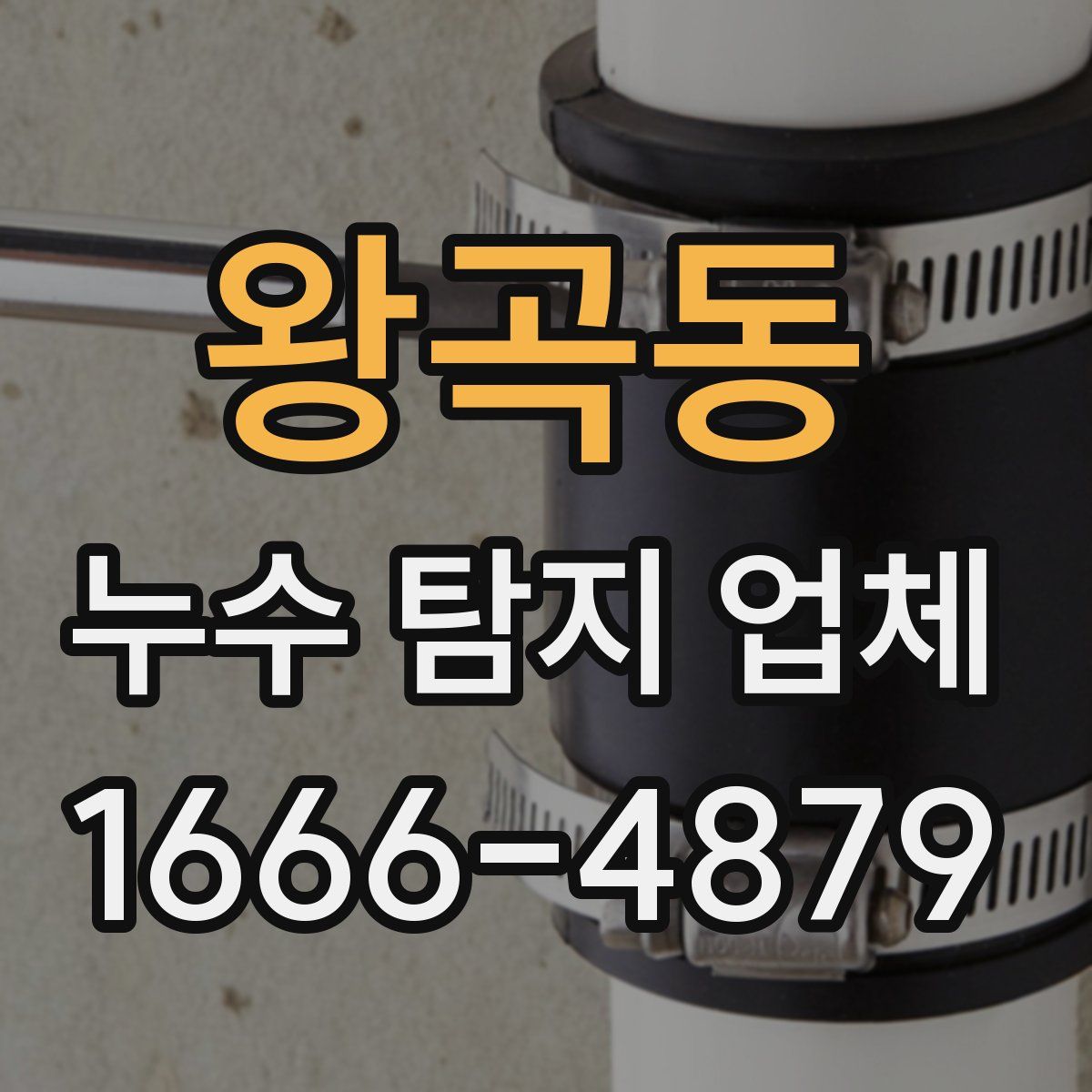 왕곡동 누수 탐지 업체