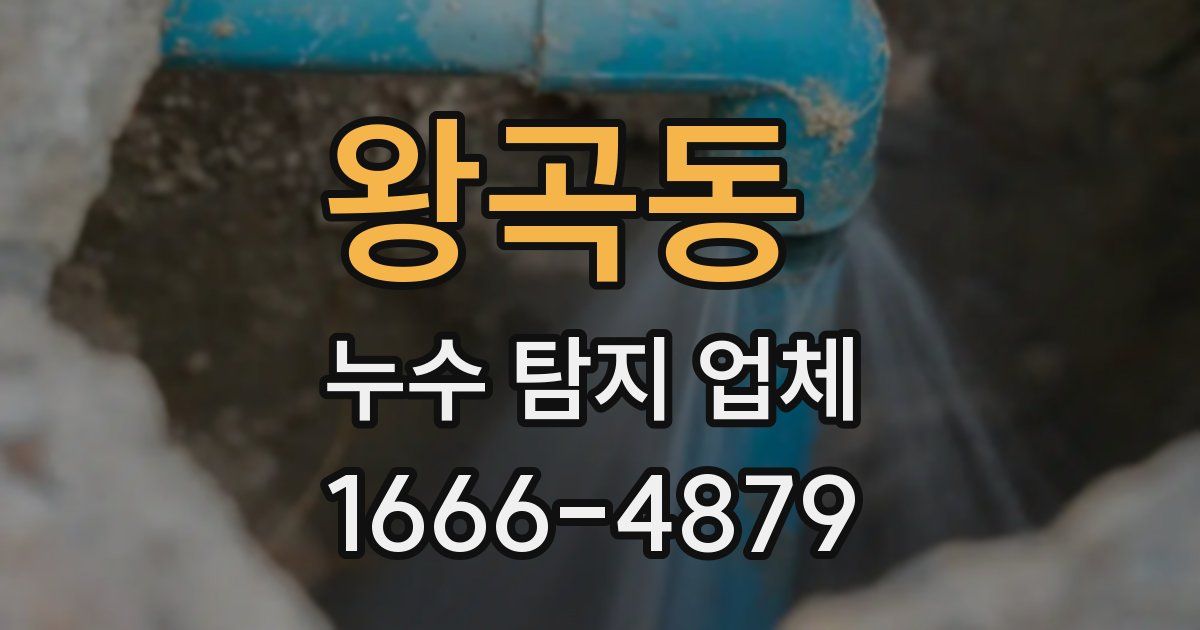 왕곡동 누수 탐지 업체