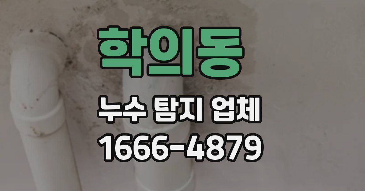 학의동 누수 탐지 업체