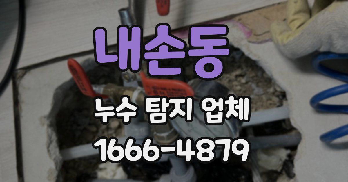 내손동 누수 탐지 업체