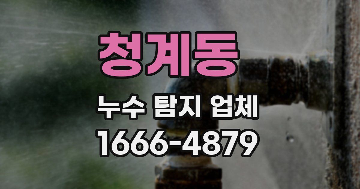 청계동 누수 탐지 업체