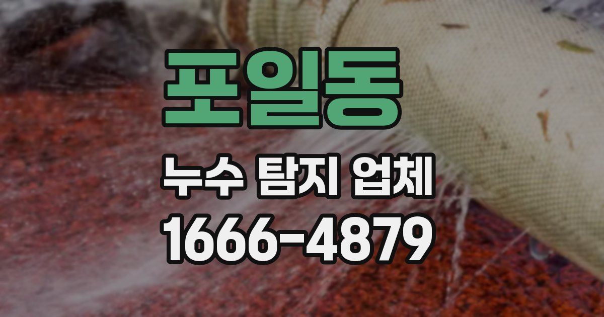 포일동 누수 탐지 업체