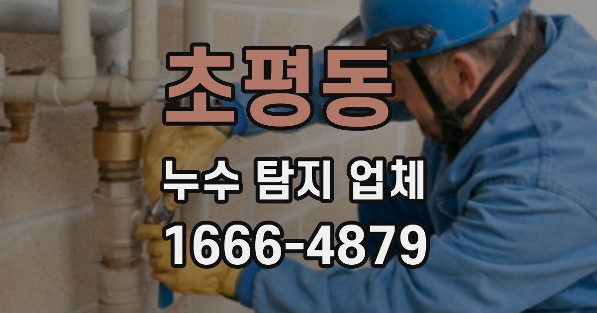 초평동 누수 탐지 업체
