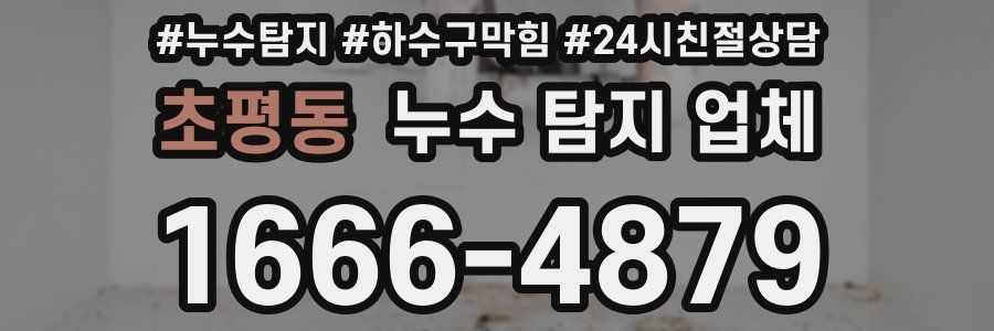 초평동 누수 탐지 업체