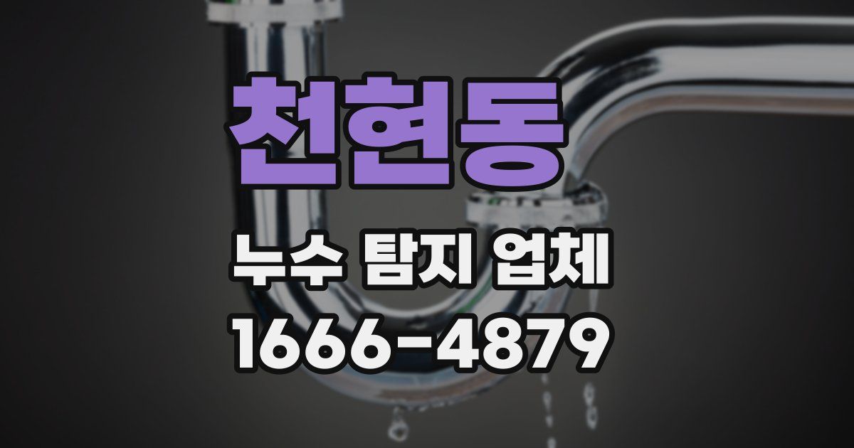 천현동 누수 탐지 업체