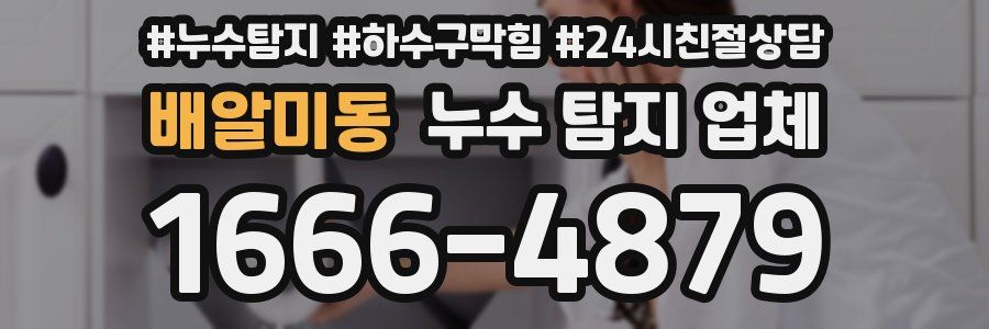 배알미동 누수 탐지 업체