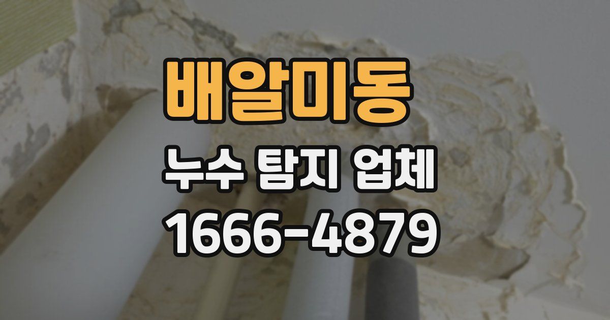 배알미동 누수 탐지 업체