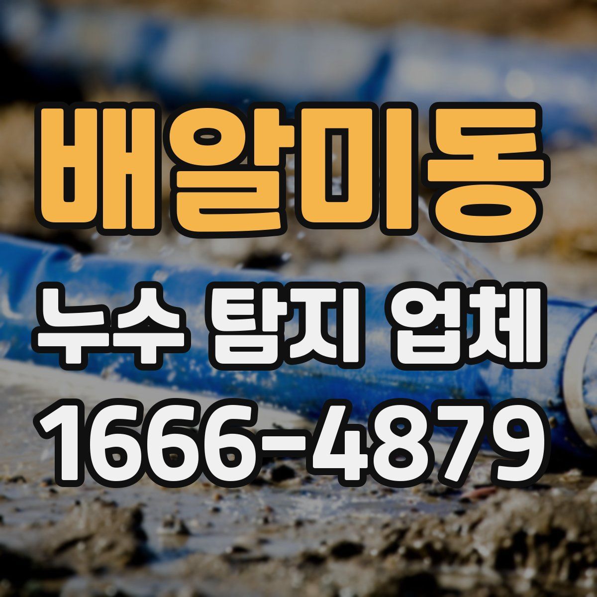 배알미동 누수 탐지 업체