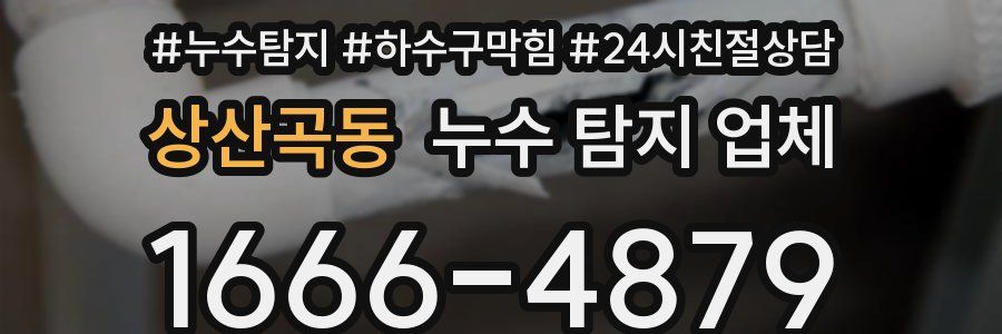 상산곡동 누수 탐지 업체