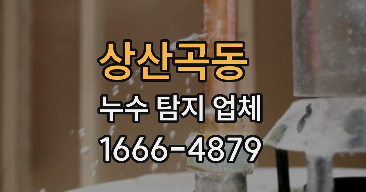 상산곡동 누수 탐지 업체