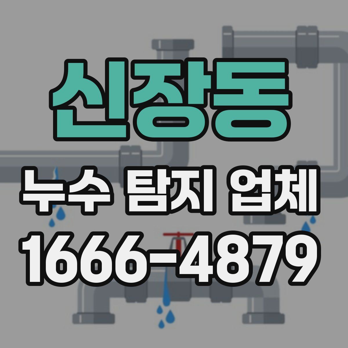 신장동 누수 탐지 업체